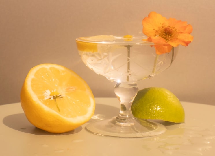 Vintage Champagne Glass Garnished With Flower And Citrus
