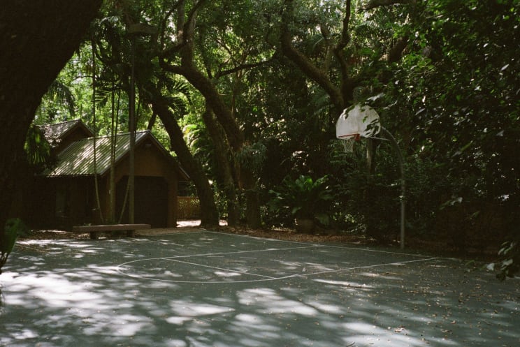 Trees Filter Sunlight Onto Basketball Court And Nearby Building