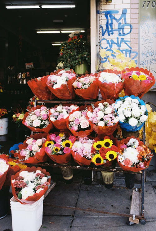A View Of Some Flowers Outdoors At A Shop
