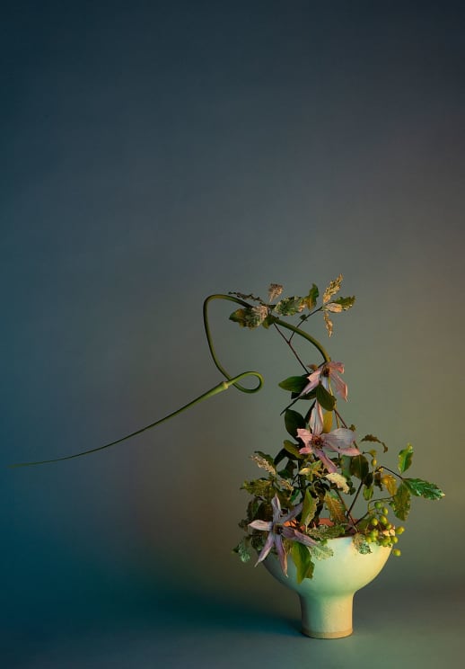 A White Plant Pot With The Plant With Green Leaves And Withered Pink Flowers