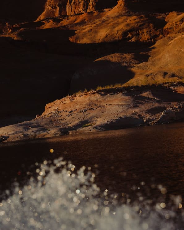 The Barren Bank Of A River