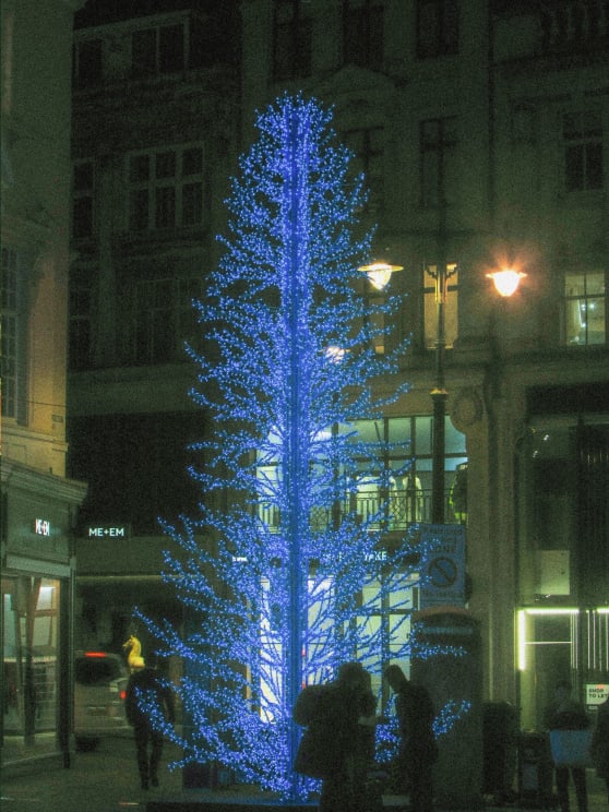 A Blue Christmas Tree Illuminates On The City Street