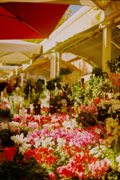 Flowers Displayed At An Outdoor Market