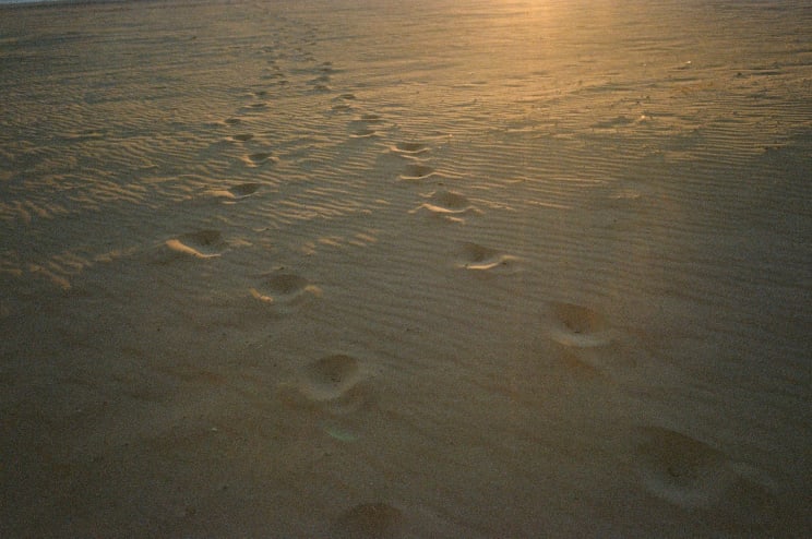 Some Footprints In The Sand Outdoors