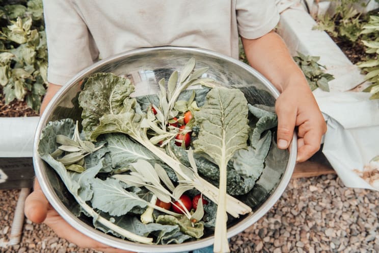 A Person Is Holding A Metal Bowl Full Of Fresh Vegetables