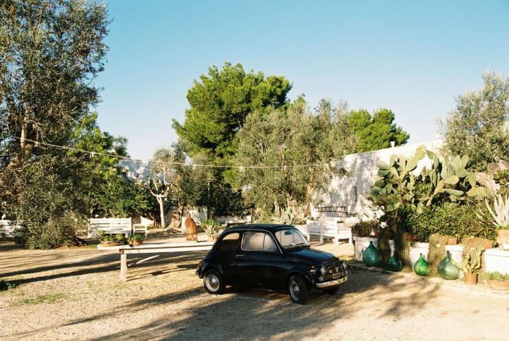 Small Vintage Black Car Parked On A Sunlit Gravel Lot Surrounded By Potted Plants, Trees, And White Benches In A Garden Setting With A Clear Blue Sky