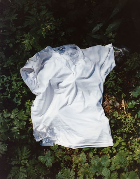 The Image Shows A White T-shirt Lying On The Ground Amidst Green Leaves And Foliage