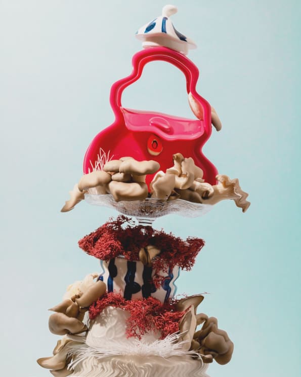 Still Life Mushrooms Sea Algae And Purse