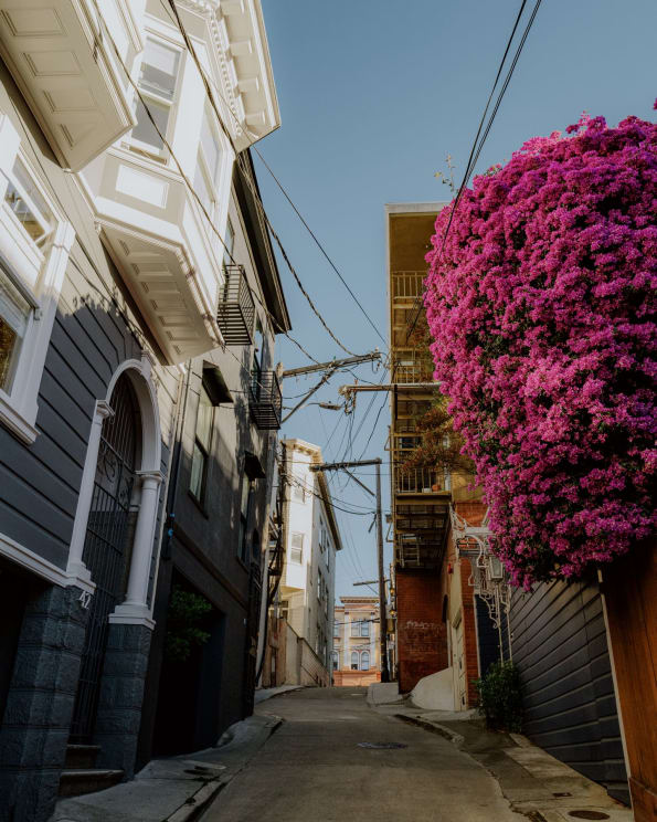 A Narrow Street With Old Houses In Neutral Colors And A Lush Pink Bougainvillea Bush On The Right