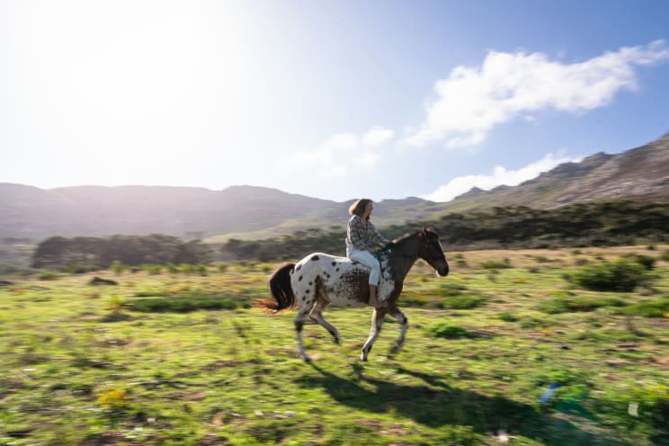 A Person Riding A Horse