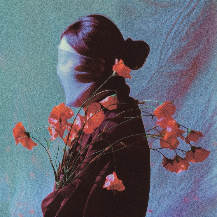 Woman With Long, Tied-up Hair, A Veil Over Her Face And Surrounded By Vibrant Orange And Red Flowers