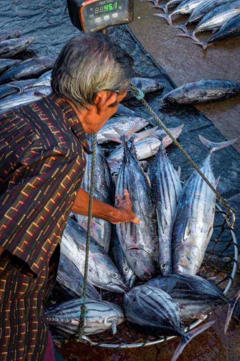 A Man Weighing Fish At A Fish Market