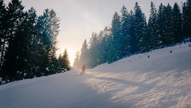 Skiier On A Mountain Slope Surrounded By Trees As The Sun Shines On The Horizon