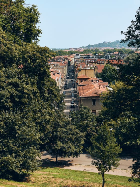 A Residential Neighborhood Surrounded By Trees, With Cars Parked Beside The Buildings During The Day