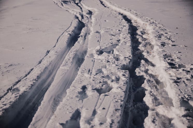 Vehicle Tire Tracks Through Snow