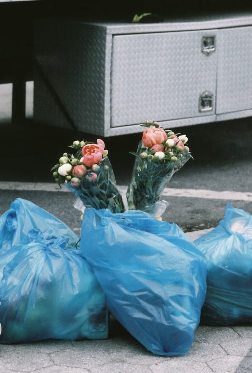 Blue Garbage Bags Laid Out On The Sidewalk With Two Bouquets Of Vibrant Flowers