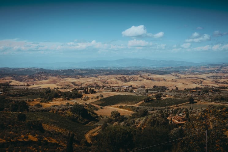 Crops And Farmland Covers The Vast Landscape