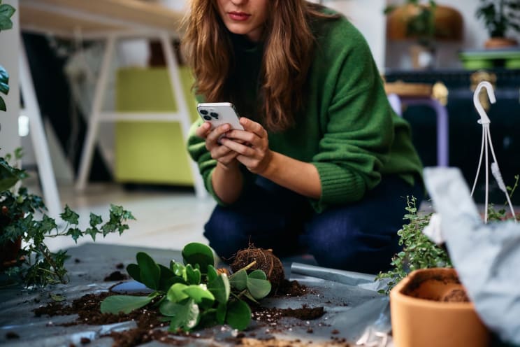 A Woman Talking A Phone Of Her Plants