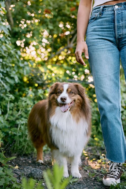 Woman Standing Outdoors Next To Her Dog In The Summer