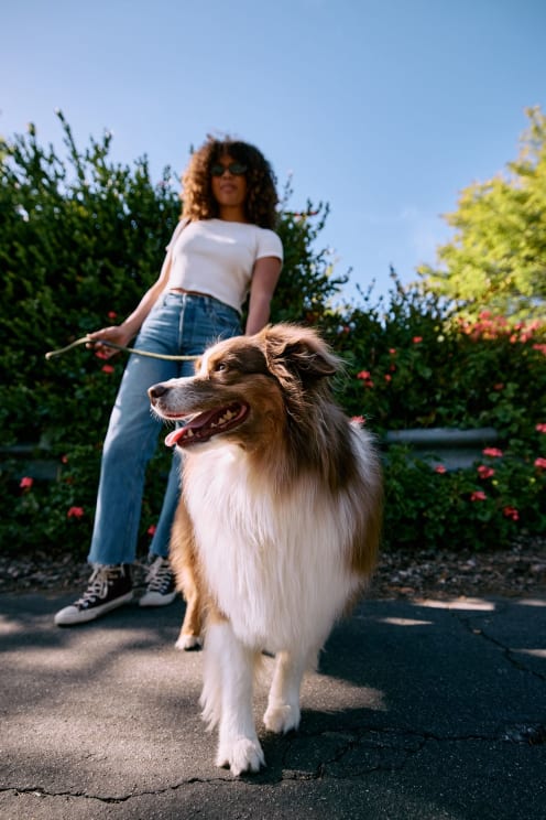 A Woman Is Walking Her Dog On A Street