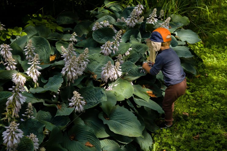 A Woman In A Garden Tending To A Flower