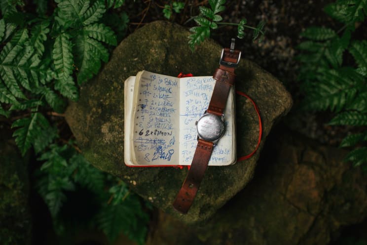 A Persons Arm Resting On A Wooden Surface With Plants Nearby