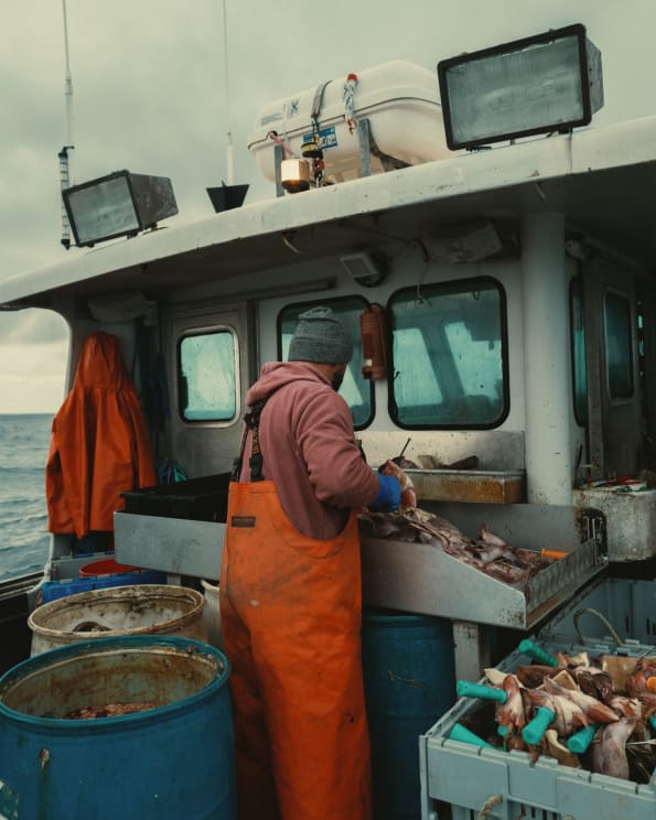 A Man Fishing On A Boat Outdoors