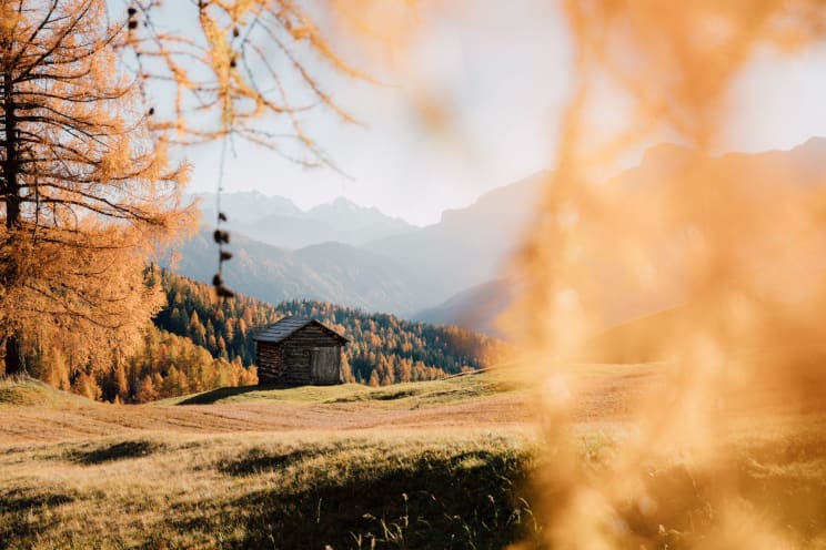 A Cabin Nestled In The Autumnal Alps