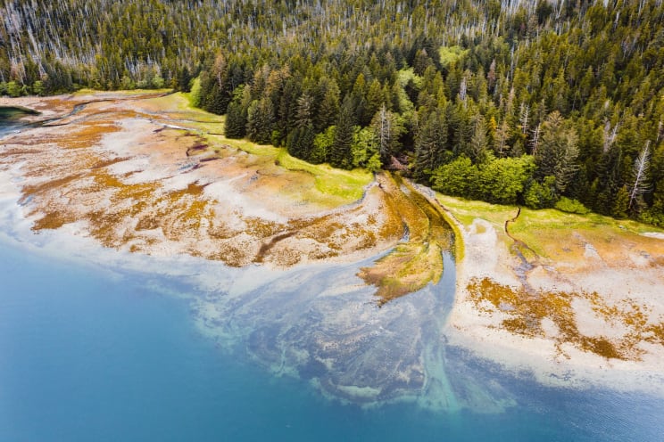 Blue Ocean Water Meets The Shoreline And Forest In Alaska
