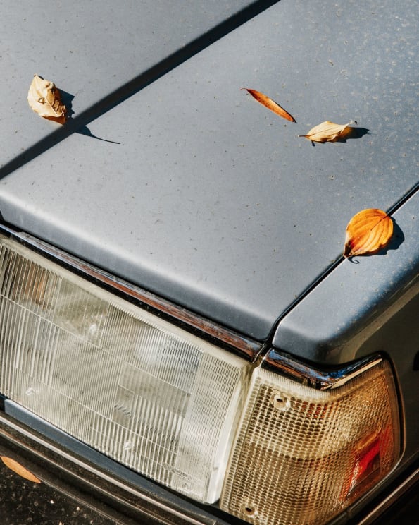 Fallen Leaves On A Blue Cars Hood