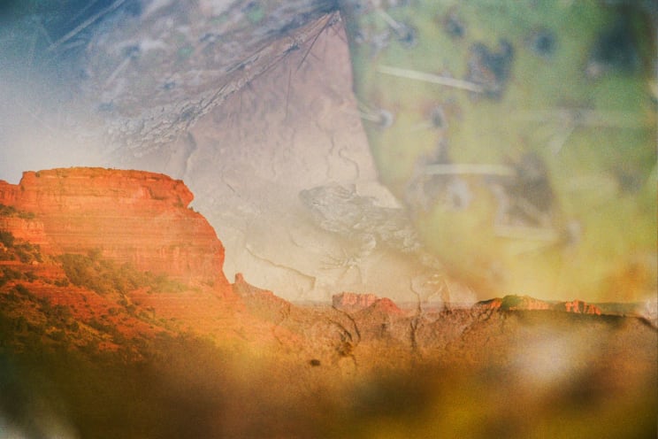 Rocky Mountains And Vegetation