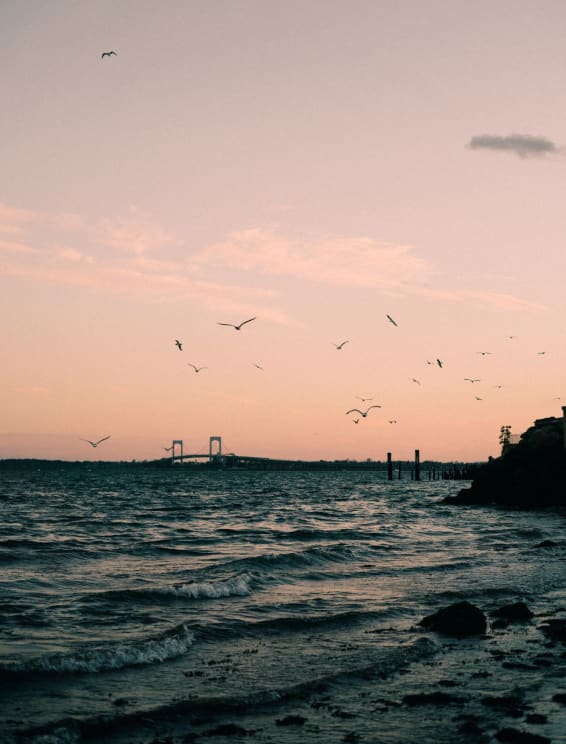 Birds Flying Over Some Water At Sunset