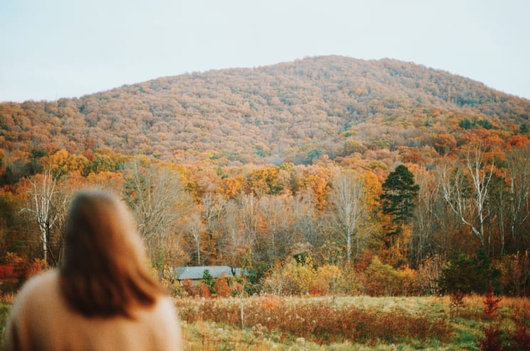 The Woman With Brown Hair Gazes At The Brown, Forested Mountains In The Distance
