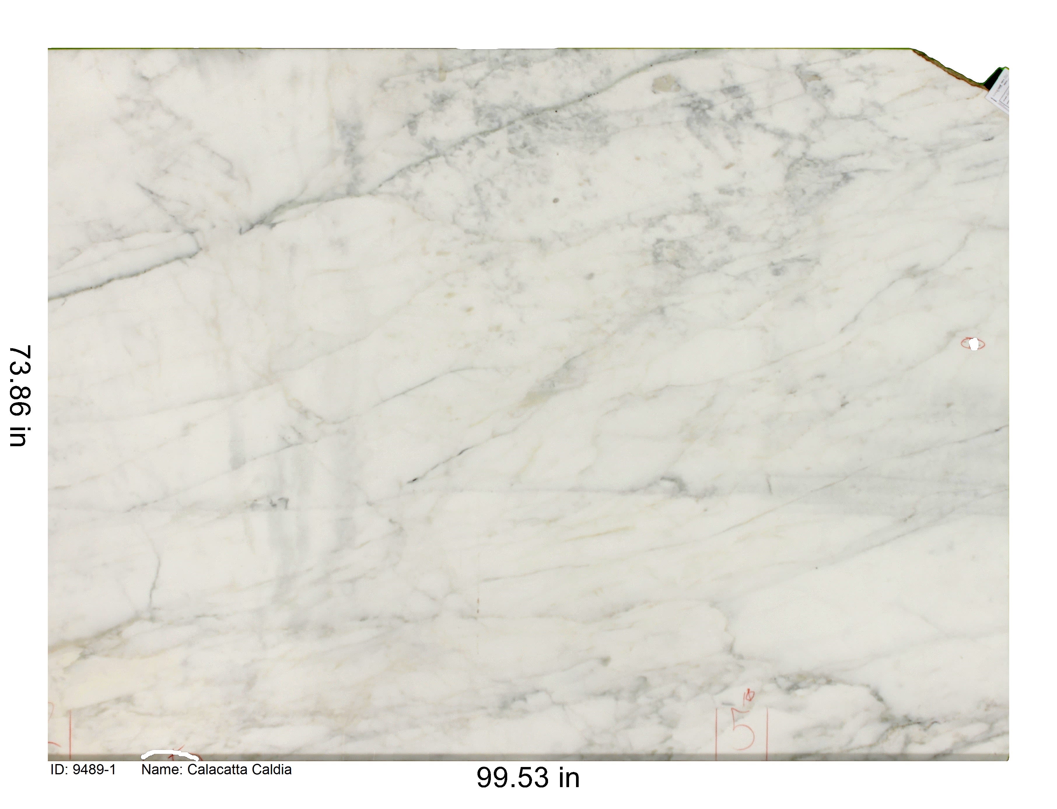 Daltile Slabs Archives - Page 2 of 6 - Bay Area Tile and