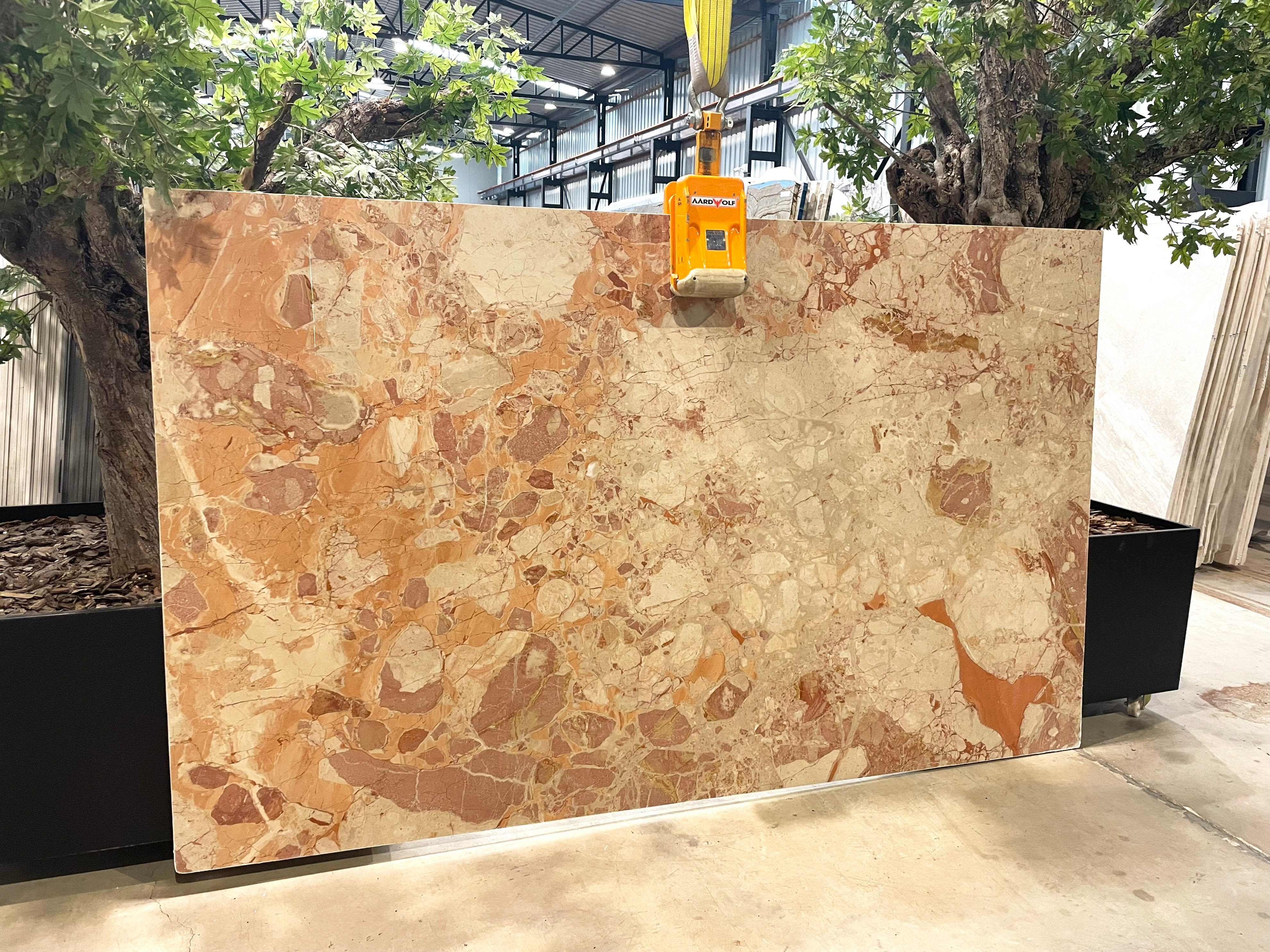 Rosso Breccia Marble - StoneTrash