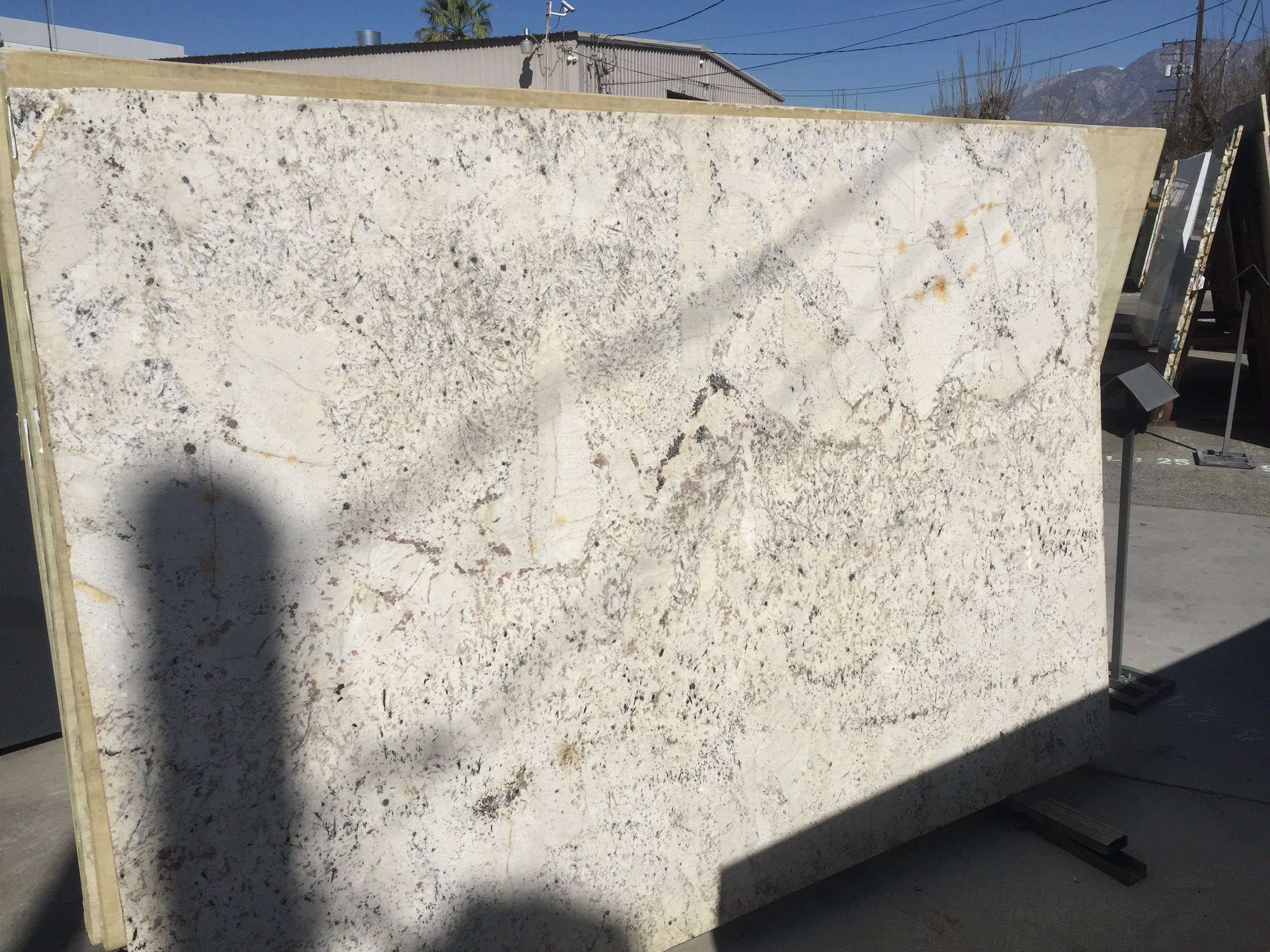 Delicatus White Granite - StoneTrash