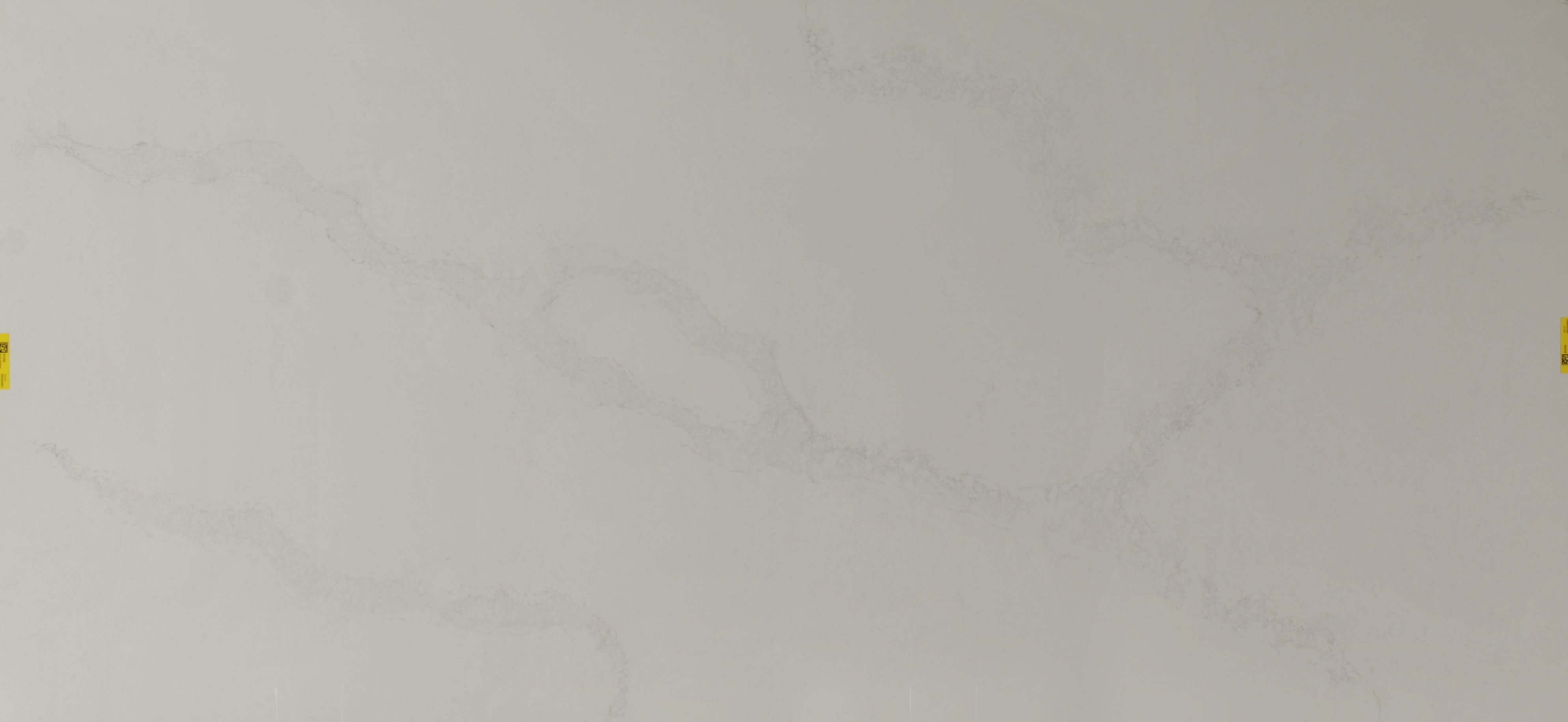 Calacatta Nuvo Honed Quartz StoneTrash