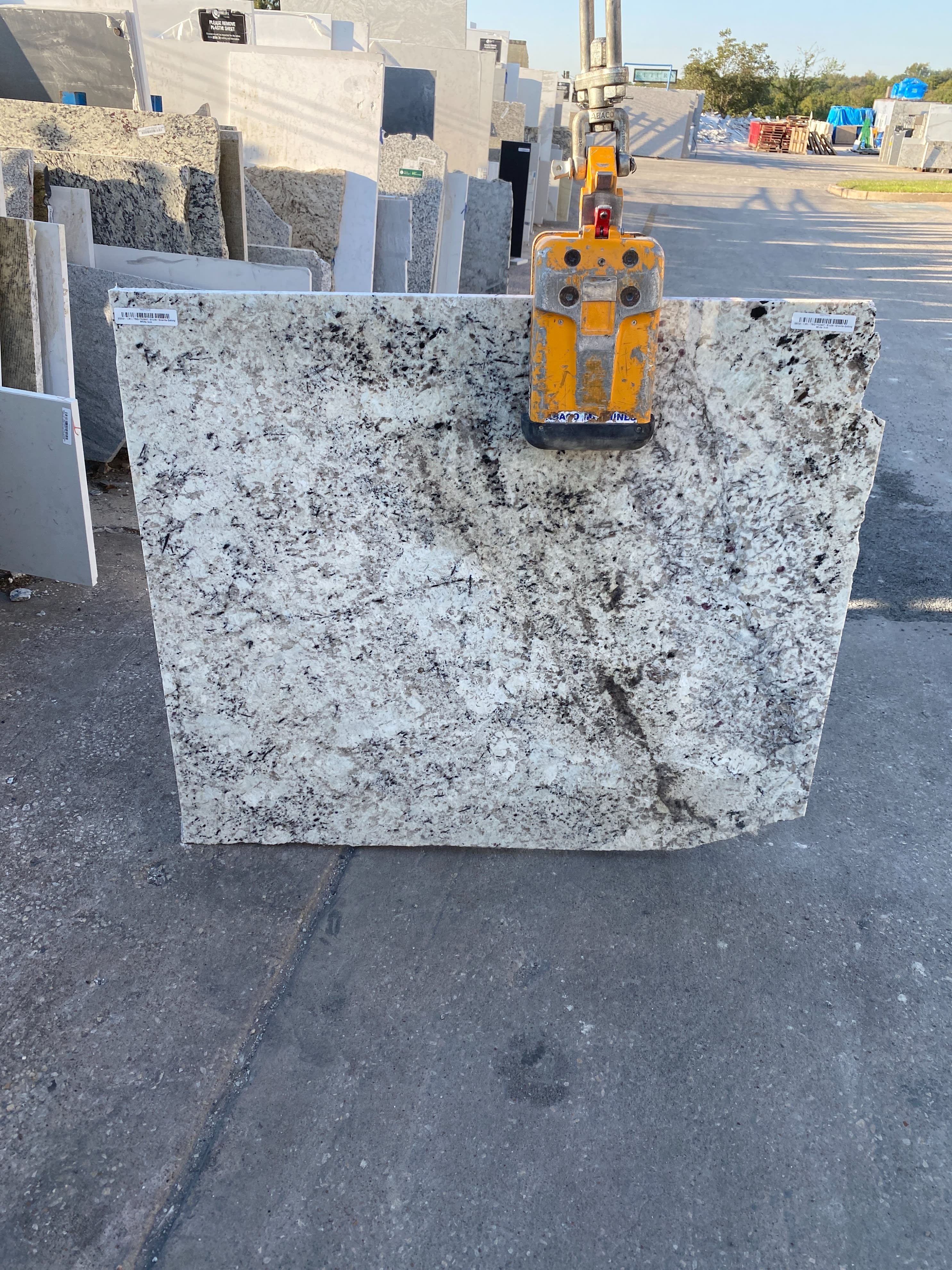 Delicatus White Granite - StoneTrash