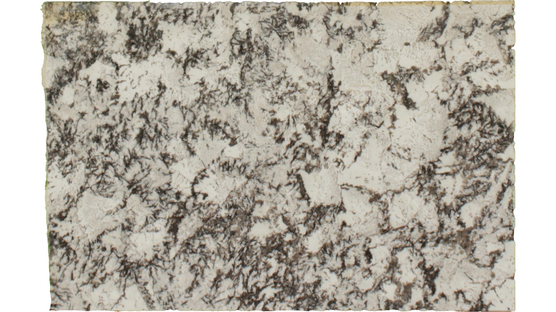 Delicatus White Granite - StoneTrash