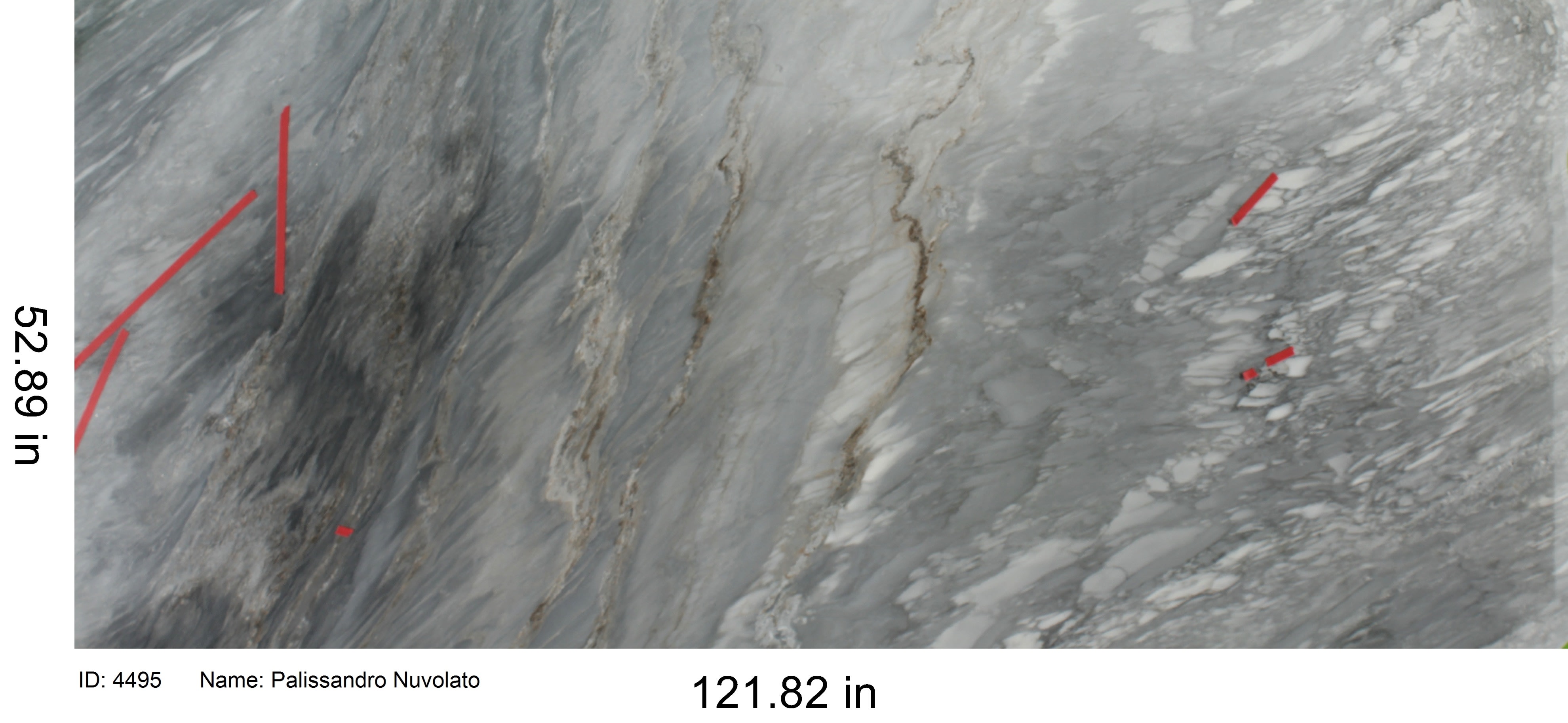 Palissandro Nuvolato Marble by MSI