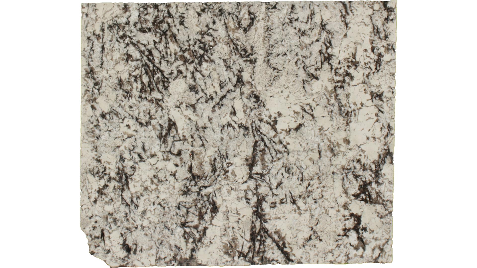 Delicatus White Granite - StoneTrash