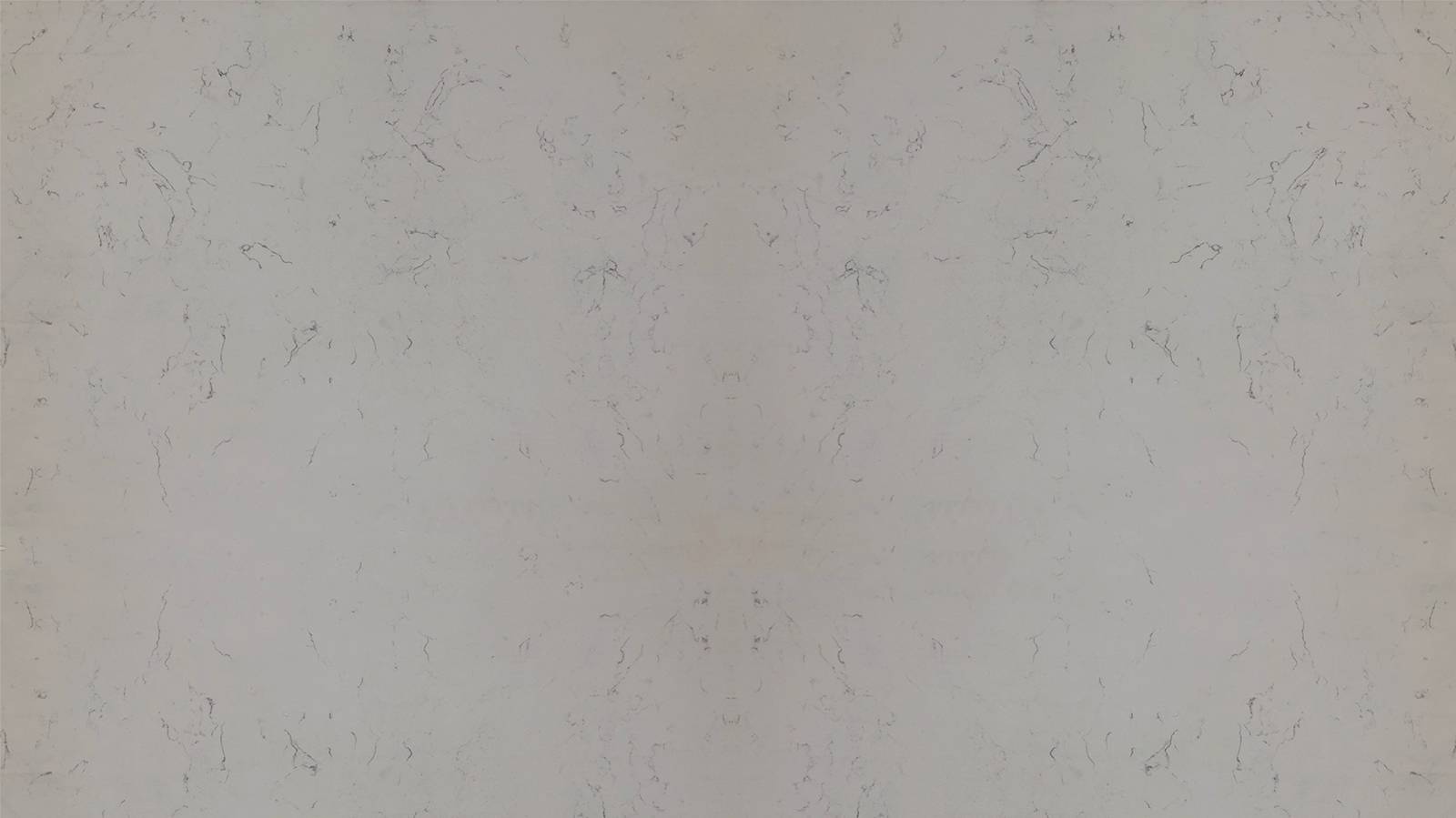 Calacatta Carrara Quartz StoneTrash - Main Image