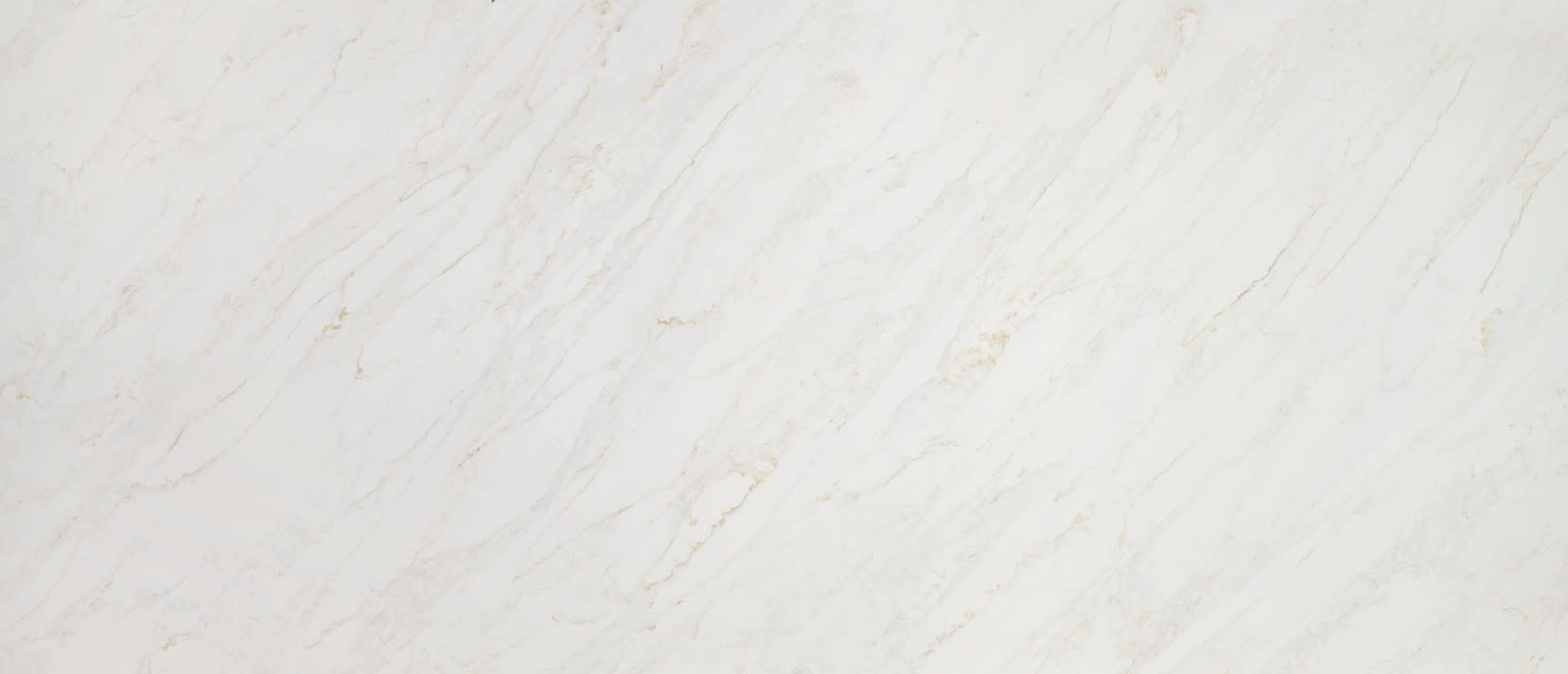 Calacatta Premata Quartz by Q Premium Natural Quartz by MSI