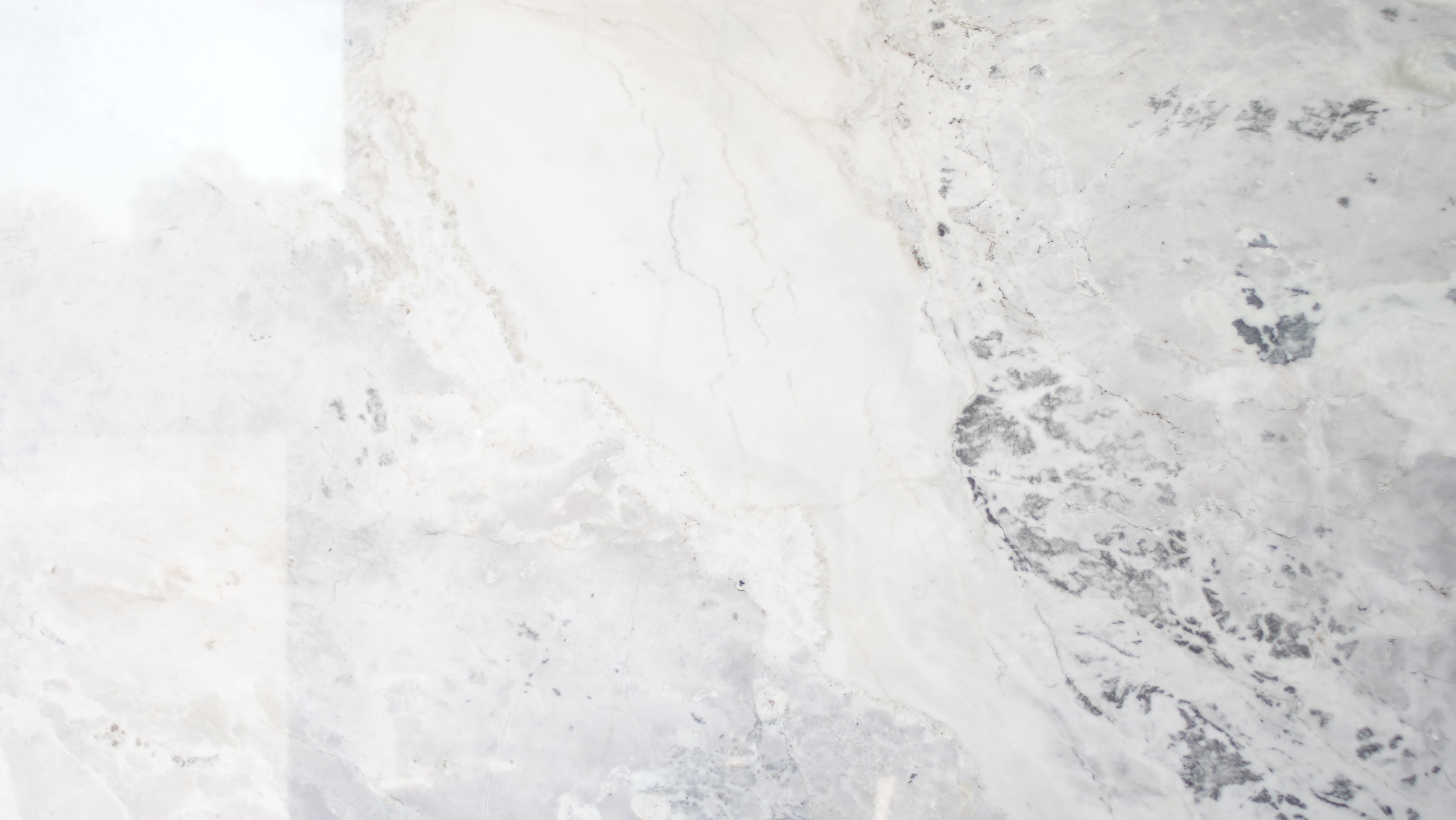 Crazy Horse Marble - StoneTrash