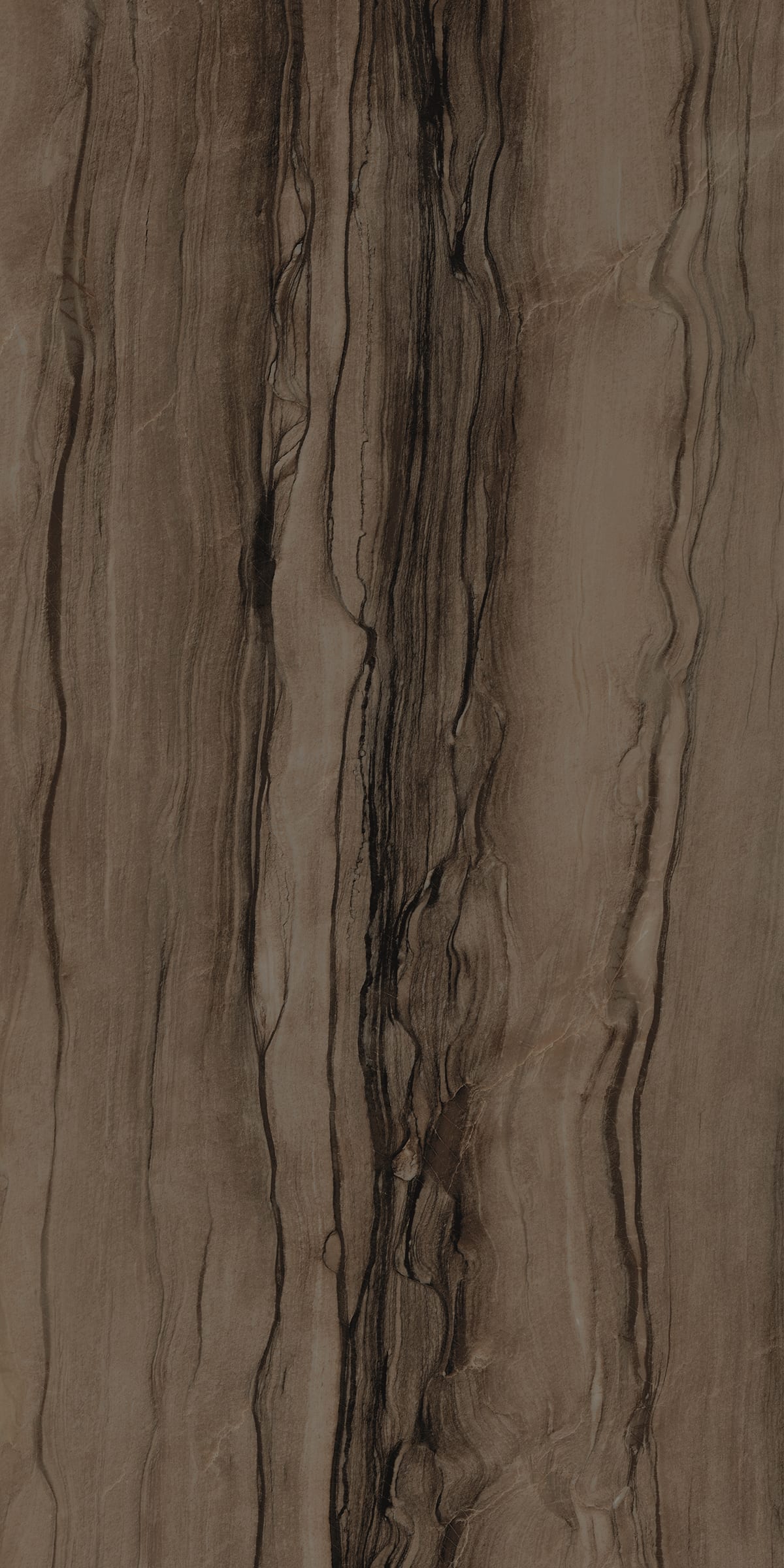ブラウン24 SEQUOIA PURO 24X48 BRUSH/HONED Porcelain Tile by Walker Zanger