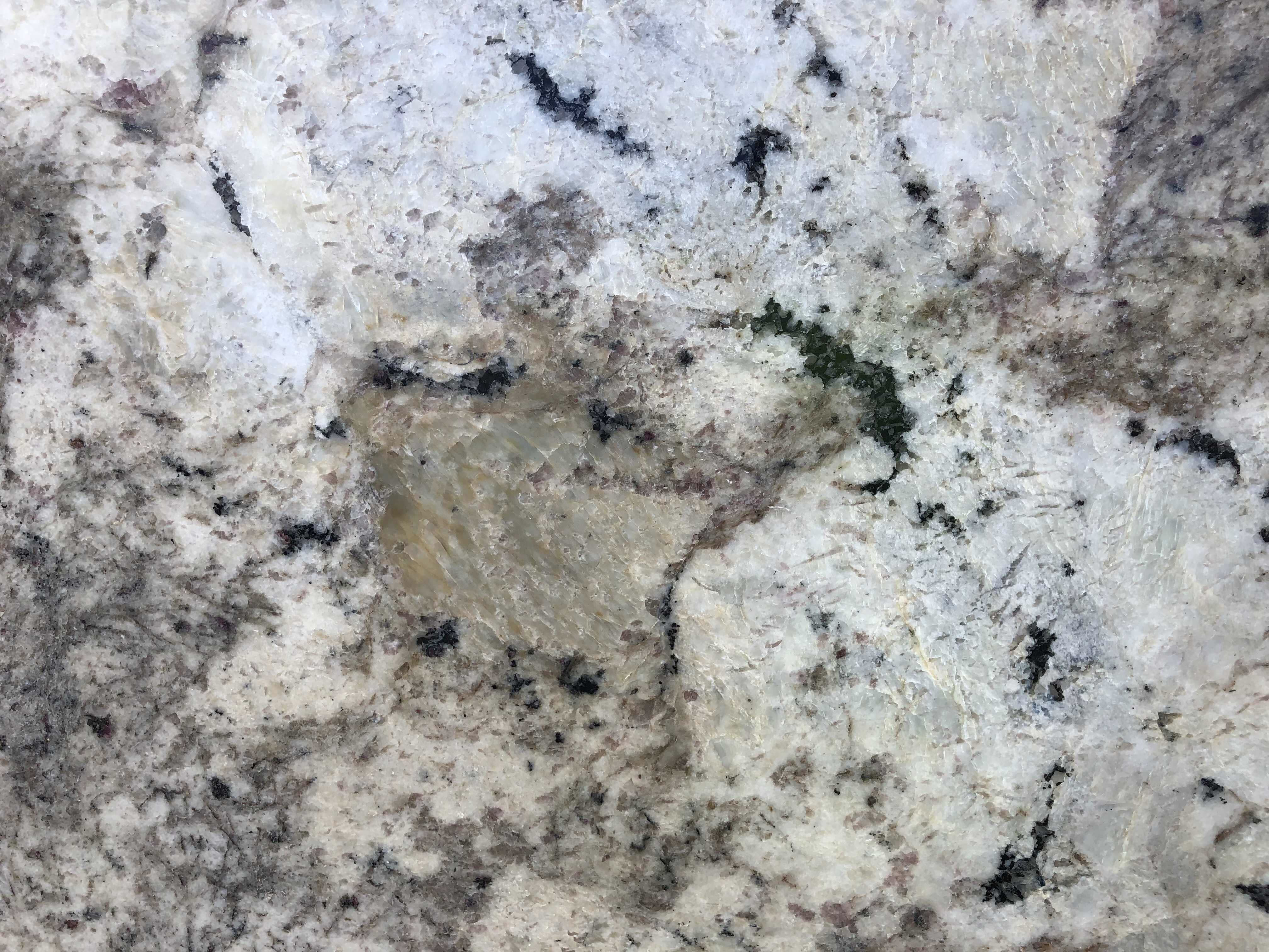 Delicatus White Granite - StoneTrash