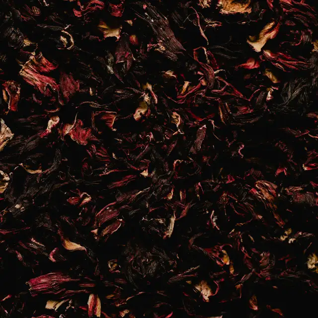 Hibiscus Noire