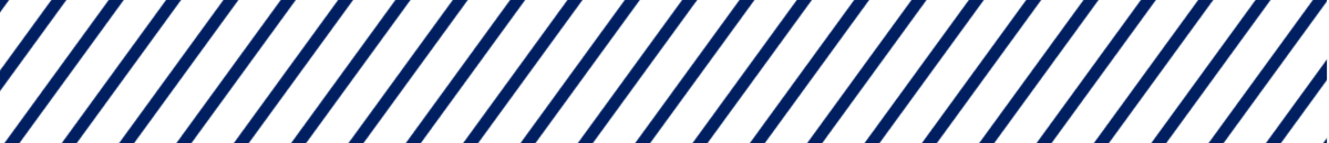 /////////////////////////