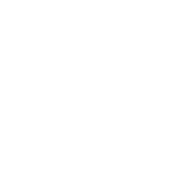 Small Print 11