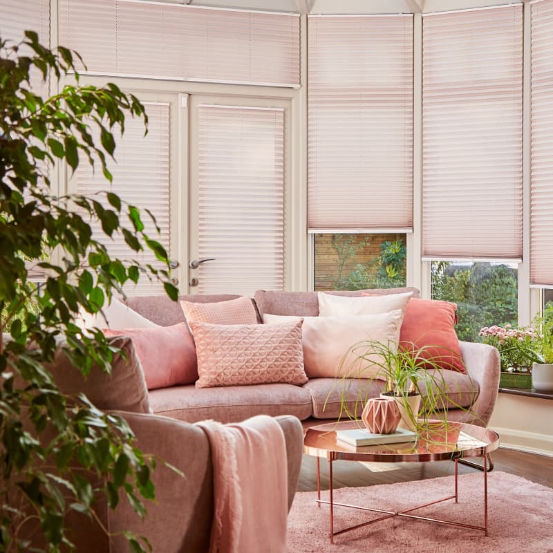 Hive & Pleated Blinds